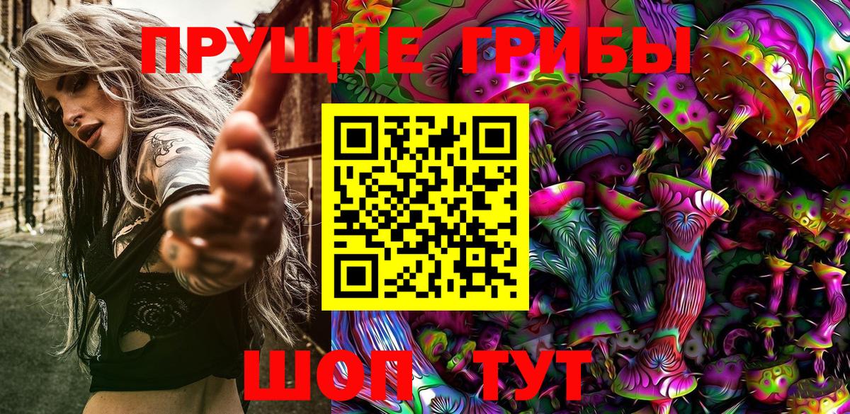 Конаково  Галлюциногенные грибы Cubensis  Галлюциногенные грибы ЛСД  Вход с VPN 