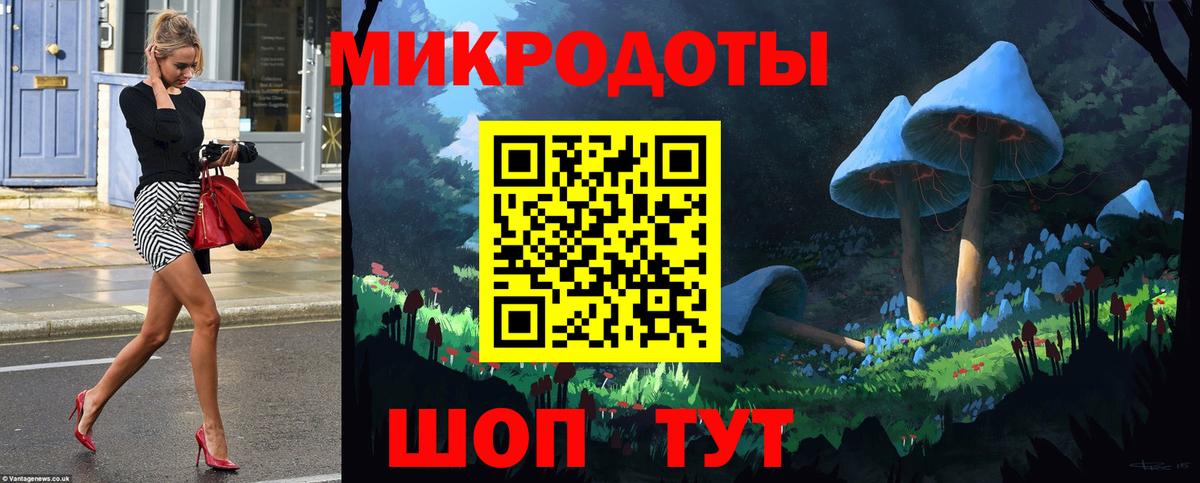 Галлюциногенные грибы Psilocybe Конаково